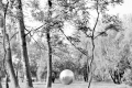 Foto_08-sw-02